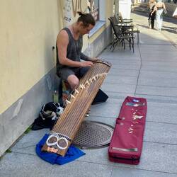 Japanisches Saiteninstrument