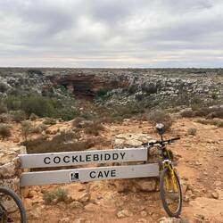 The biggest things on the Nullabor may all be underground.