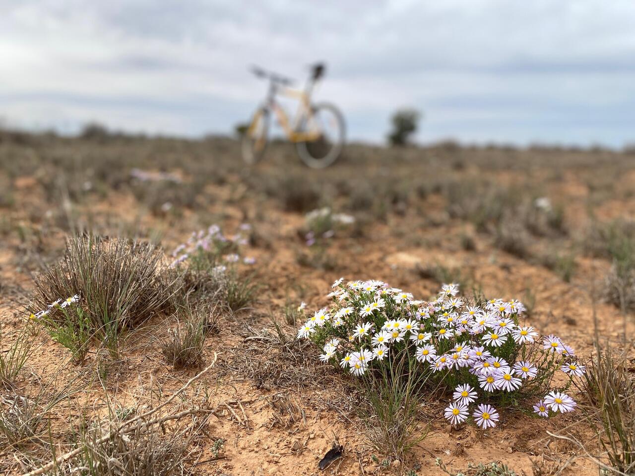 Photograping the tallest thing in sight.