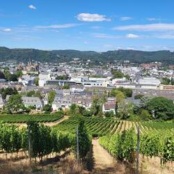 Blick über Trier, ganz links die Basilika , rechts daneben der Dom