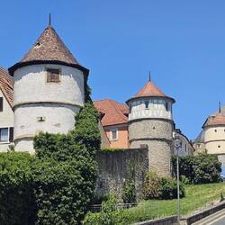 Dettelbacher Stadtmauer