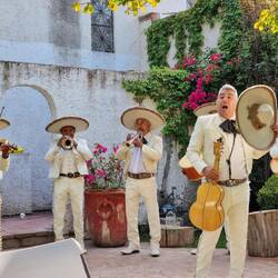 Frühstück mit Mariachi-Musik 🎺