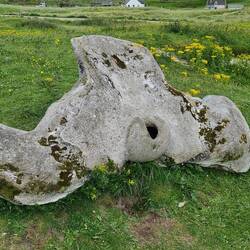 The first thing I saw at the car park - whale bone
