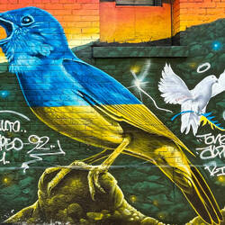 In support of the Ukranians ... Graffiti Alley — Toronto, ON ... Canada.