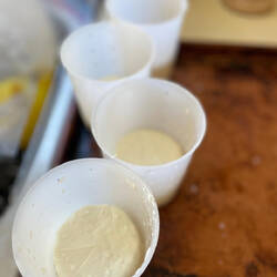 Selbstgemachter Ziegenkäse