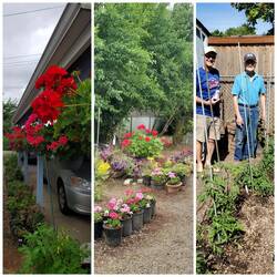 Uncle Kay's garden