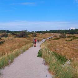Großartiger Bohlenweg durch den Nationalpark Darßer Ort!