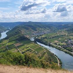 Moselschleife bei Bremm
