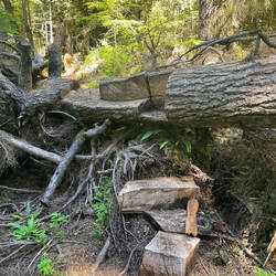 Typische kanadische Treppe😄
