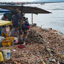 Hier werden Muscheln mit einem Hammer aufgeschlagen