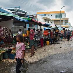 Auf dem Boden sind Fischabfälle