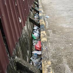 Überall nur Müll..