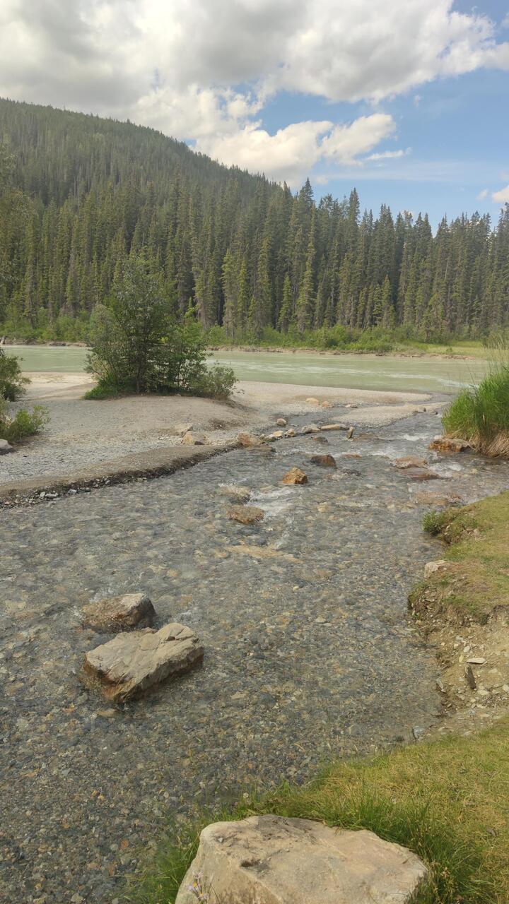 Finn Creek