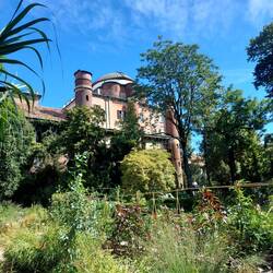 Parc super mignon en plein cœur de la ville