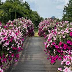 Haring trail for Southside H3 in Seoul