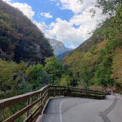 Trees have some interesting shades here, looks pretty autumnal