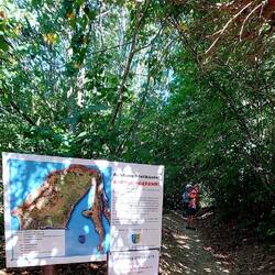 Tunnelartige Wanderwege!