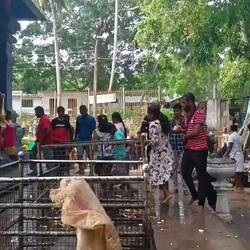 ניפוץ קוקוסים בקטע רוחני