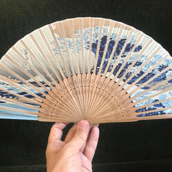 mein bester Freund in diesem schwül-heissen Klima