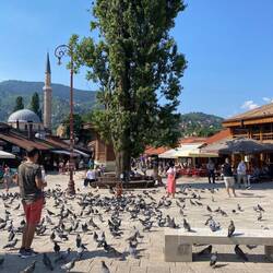 Baščaršija - Pigeon Square