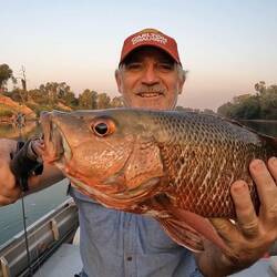 Lee the owner stoked with massive a mangrove jack