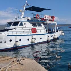 Diving boat