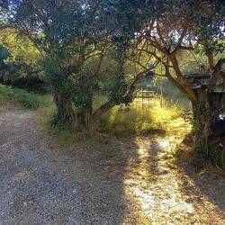 Kind of illegal camp spot for the night