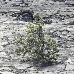 Krass wie das Läbe da usechunnt...