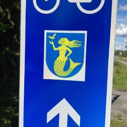 Das Symbol des Radweges hätte mich stutzig machen sollen!