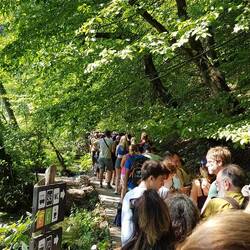 Wieder anstehen für........