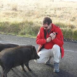 Hie wird doch dr Pesche tatsächlech vore Sou bisse! Het sogar ä Blöiele gä!! 🙈