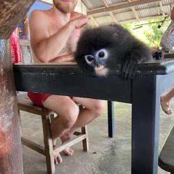 לאמבוט החברה שלי