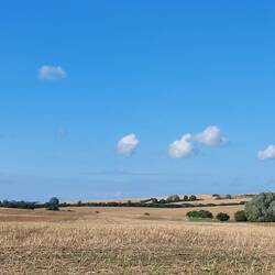 Hinauf auf luftige 125 m im Binnenland!