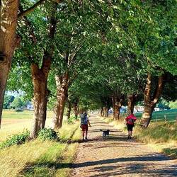 Im Rügener Niemandsland!