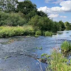 Wümmestromschnellen mit zu wenig Wasser