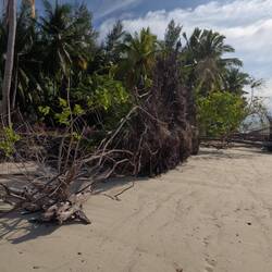 Wind here sometimes is very strong