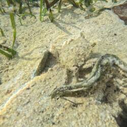 Let's go closer 😜