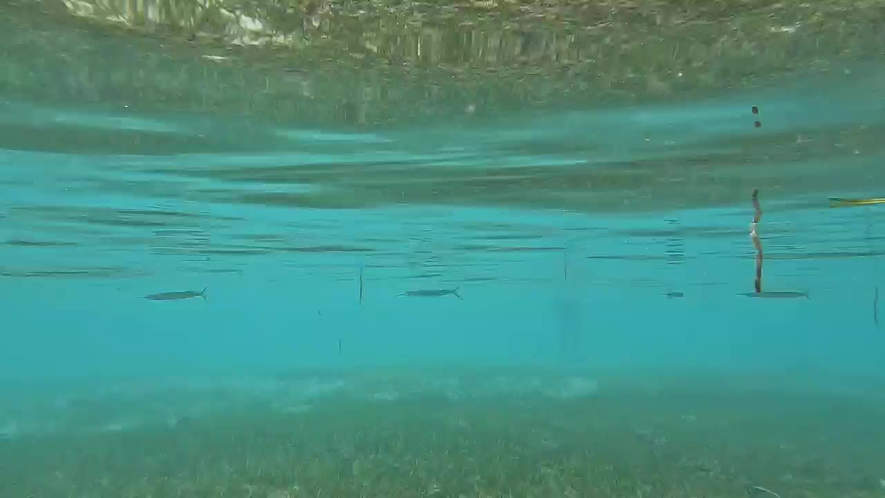 To the house through water