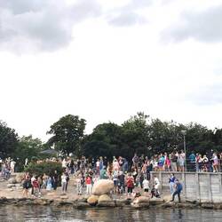 Was die kleine Meerjungfrau jeden Tag sieht