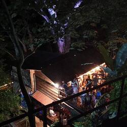 Treehouse Party
