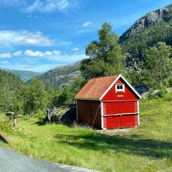 wie von Bob Ross gemalt 👩‍🎨