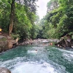 Wasserplausch mit der Liane