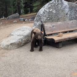 Kurz vor dem Kampf ...