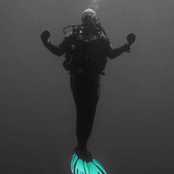 .....or Scuba Diving.....