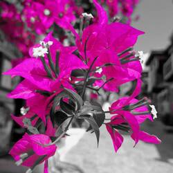 ..... Mediterranean colors are very far.....