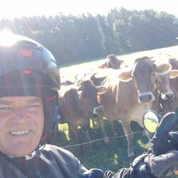 Im Allgäu ist es schön...