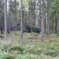 Harvester müde, Harvester schlafen