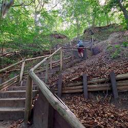 Oben begann dann überraschend der Rheinsteig!
