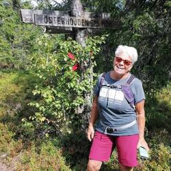 auf dem Gipfel des Österhojden