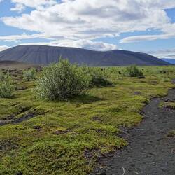 Die ganze Zeit vor Augen: der Krater Hverfjall